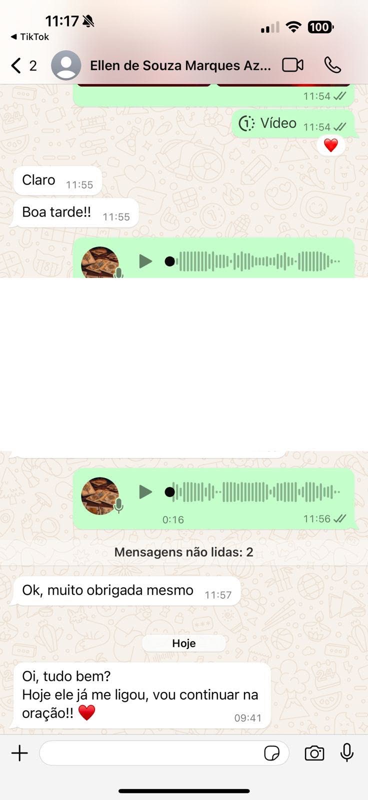Print de conversa no WhatsApp com depoimento real de aluno 5